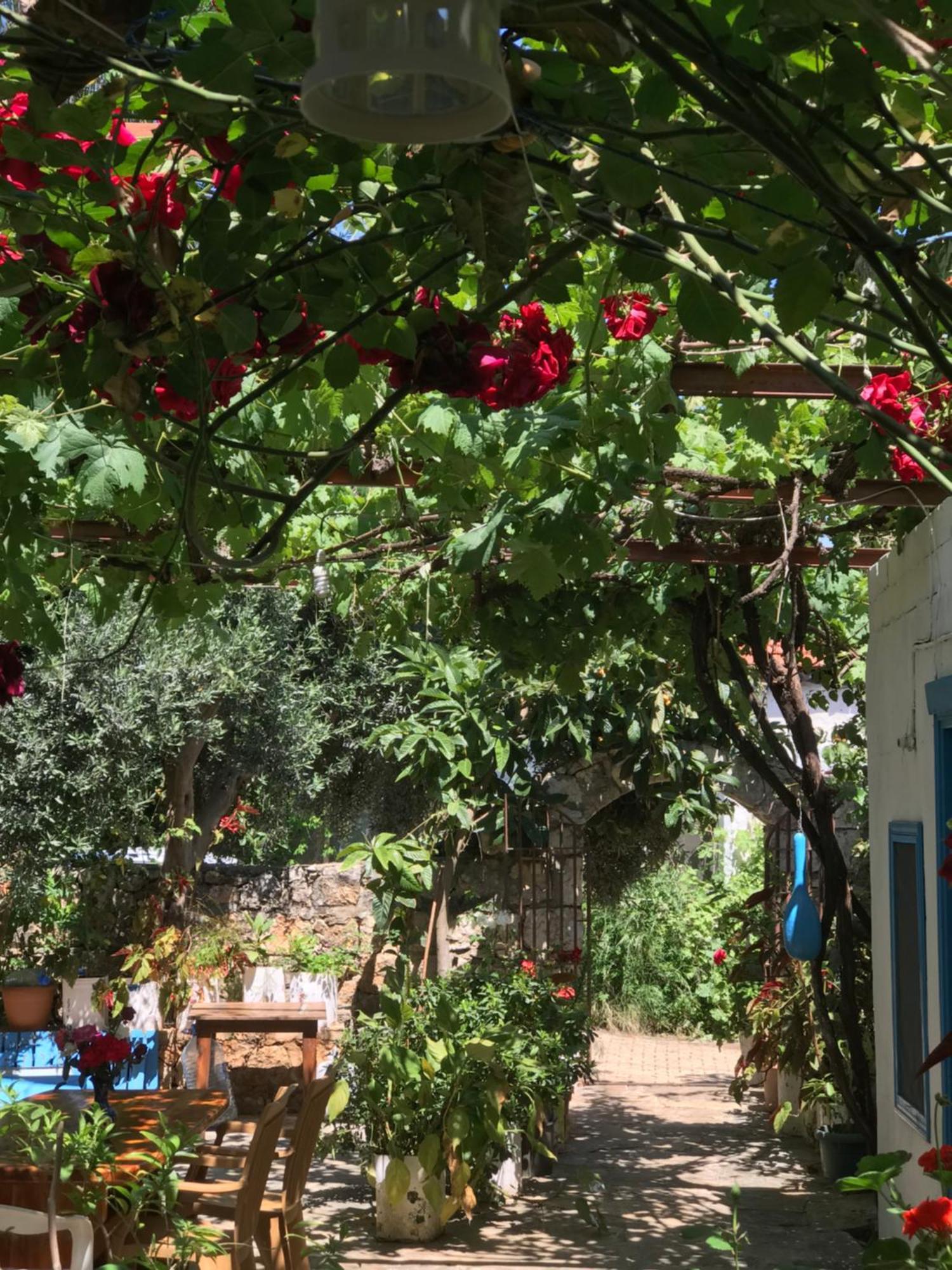 Likya Pansiyon Kaleucagiz Exterior photo