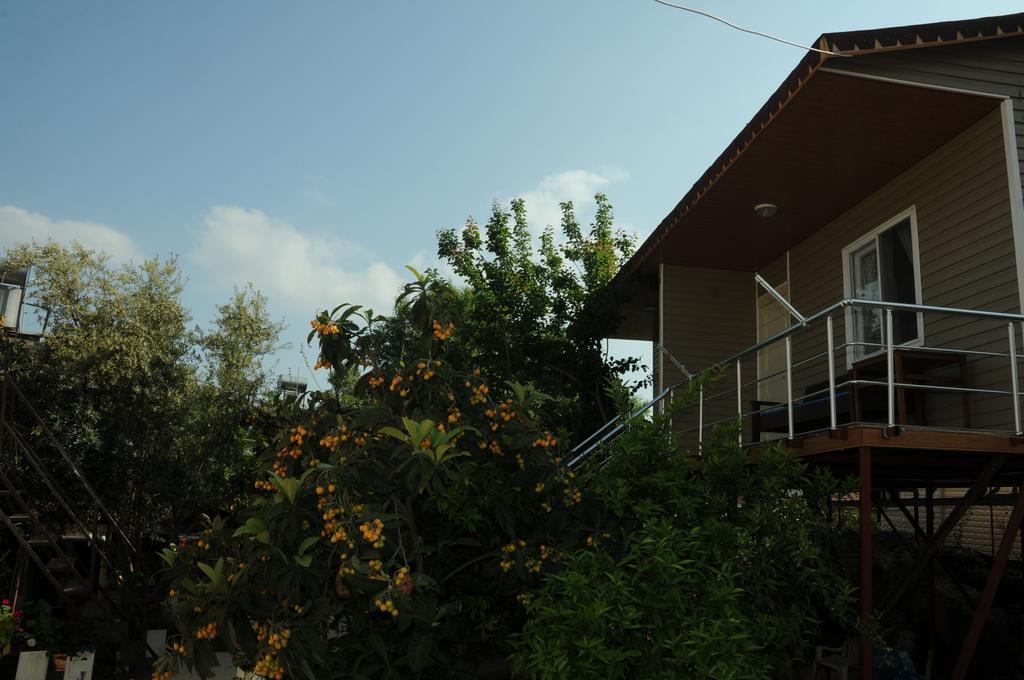 Likya Pansiyon Kaleucagiz Exterior photo